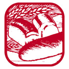 グラハムブレッドフラワ－